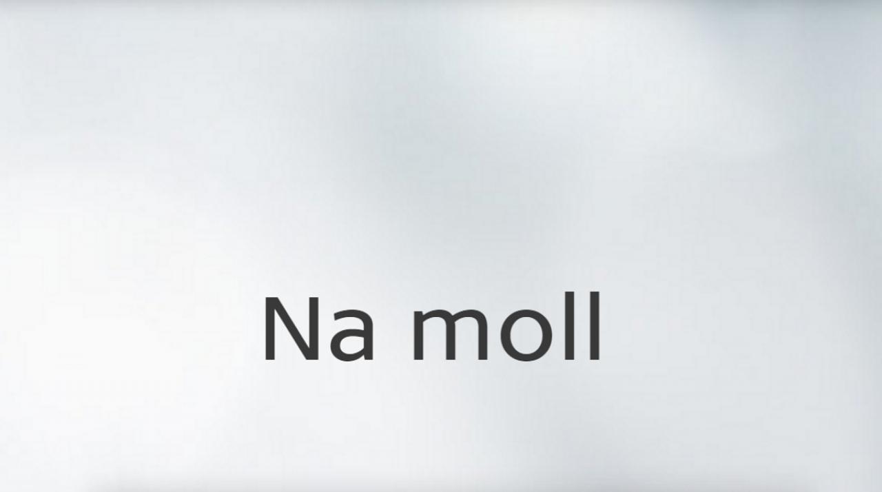 Na moll... / 04.01.2025, 02:20