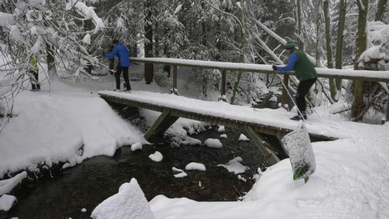 Bežkopotulky (Bežkopotulky: Krušné hory) / 07.01.2025, 19:00